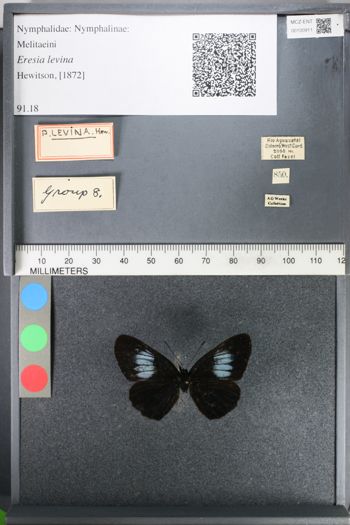 Media type: image;   Entomology 100911